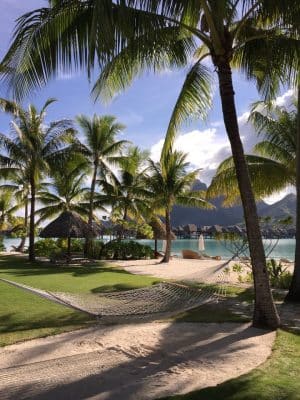 Mergulho com tubarões em Bora Bora