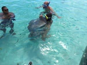 Mergulho com tubarões em Bora Bora