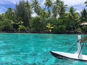 Mergulho com tubarões em Bora Bora