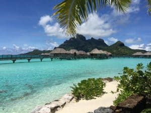 Mergulho com tubarões em Bora Bora