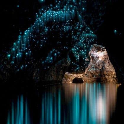 glow worm cave