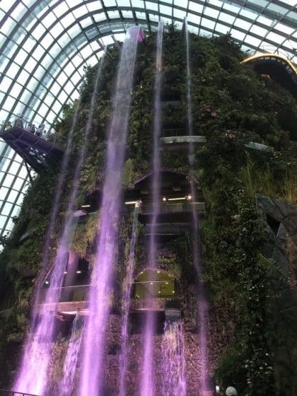 Gardens of the Bay, Singapura