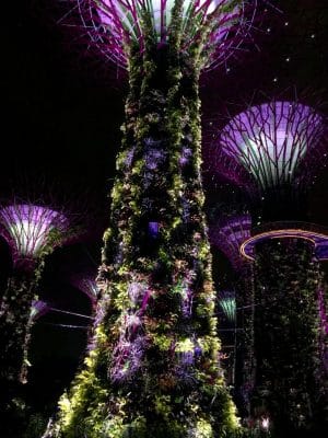 SuperTreeGrove em Singapura