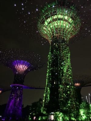 SuperTreeGrove em Singapura