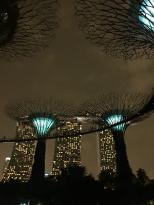 SuperTreeGrove em Singapura