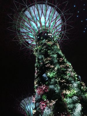 SuperTreeGrove em Singapura