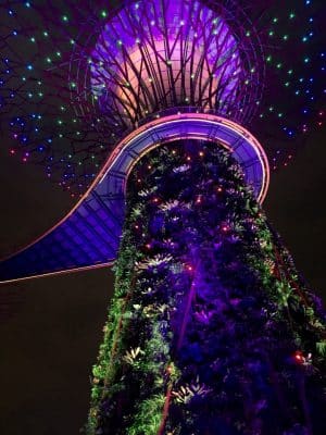 SuperTreeGrove em Singapura