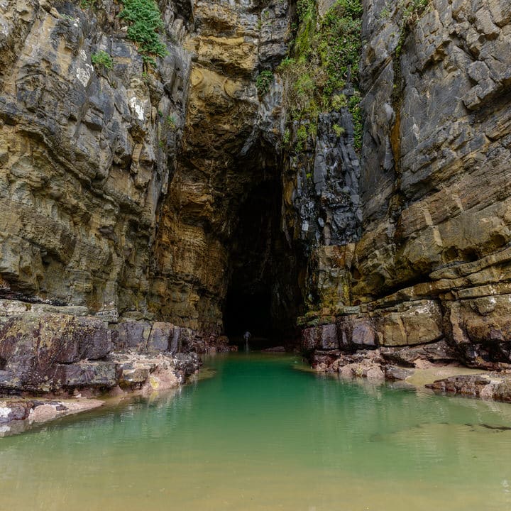 glow worm cave