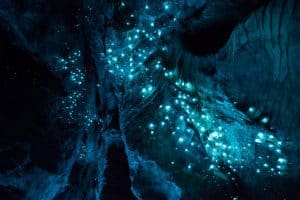 glow worm cave