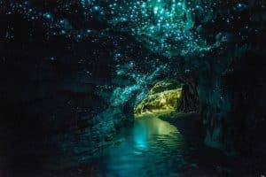 glow worm cave