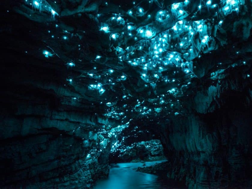 glow worm cave