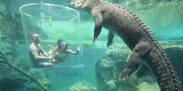 Crocosaurus Cove