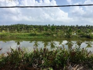 Farming & Fishing Tour de bike pelos arredores de Hoi An