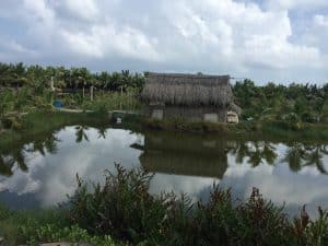 Farming & Fishing Tour de bike pelos arredores de Hoi An