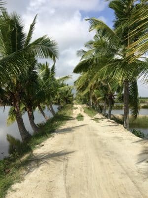 Farming & Fishing Tour de bike pelos arredores de Hoi An