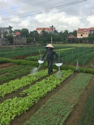 Farming & Fishing Tour de bike pelos arredores de Hoi An