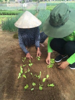 Farming & Fishing Tour de bike pelos arredores de Hoi An