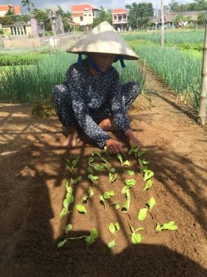 Farming & Fishing Tour de bike pelos arredores de Hoi An