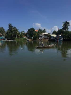 Coconut Tree Jungle em Hoi an