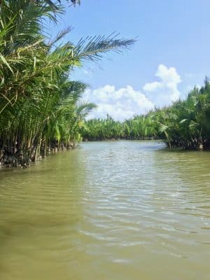 Coconut Tree Jungle em Hoi an