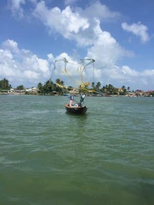 Coconut Tree Jungle em Hoi an