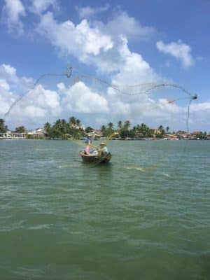 Coconut Tree Jungle em Hoi an