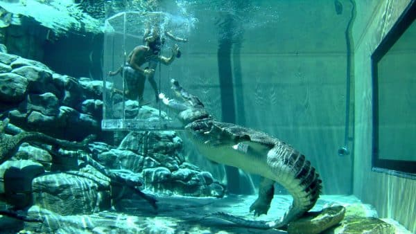 Crocosaurus Cove