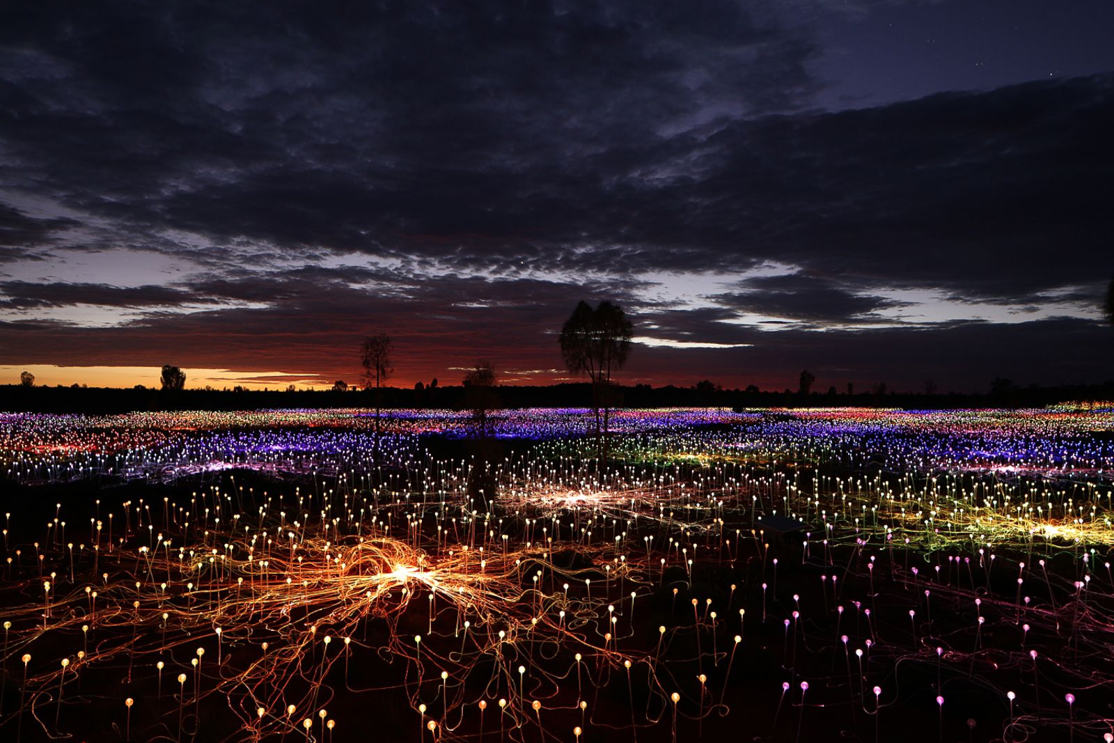 Uluru Field Of Light