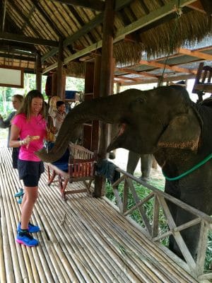 Passeio ao Elephant Village & Sanctuary, Luang Prabang - Laos