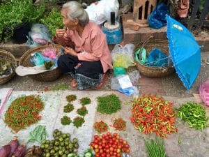 Mercado matinal local em Luang Prabang, no Laos - Nacht Market