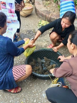 Mercado matinal local em Luang Prabang, no Laos - Nacht Market