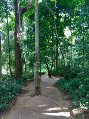 Passeio de bike em Luang Prabang - Laos