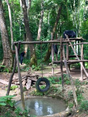 Passeio de bike em Luang Prabang - Laos