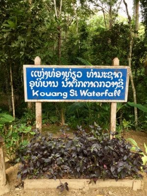 As cachoeiras de Luang Prabang, Kouang Si Waterfalls - Laos