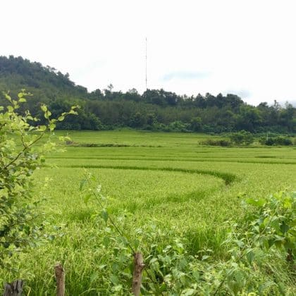 Passeio de bike em Luang Prabang - Laos