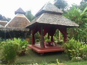 Passeio ao Elephant Village & Sanctuary, Luang Prabang - Laos