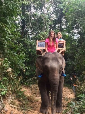 Passeio ao Elephant Village & Sanctuary, Luang Prabang - Laos