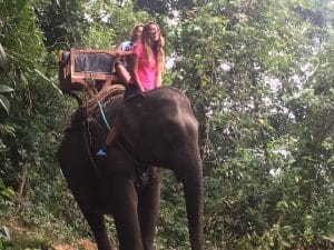 Passeio ao Elephant Village & Sanctuary, Luang Prabang - Laos