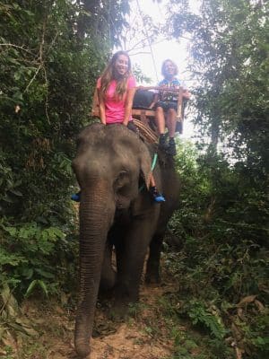 Passeio ao Elephant Village & Sanctuary, Luang Prabang - Laos