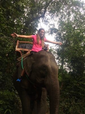 Passeio ao Elephant Village & Sanctuary, Luang Prabang - Laos