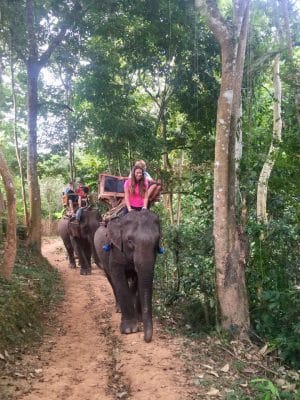 Passeio ao Elephant Village & Sanctuary, Luang Prabang - Laos