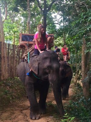 Passeio ao Elephant Village & Sanctuary, Luang Prabang - Laos