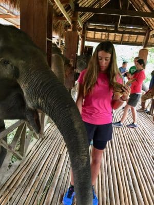 Passeio ao Elephant Village & Sanctuary, Luang Prabang - Laos