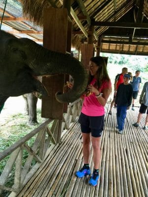 Passeio ao Elephant Village & Sanctuary, Luang Prabang - Laos