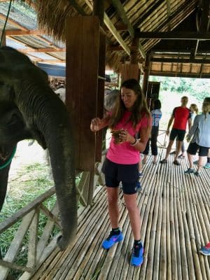 Passeio ao Elephant Village & Sanctuary, Luang Prabang - Laos