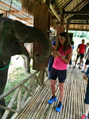 Passeio ao Elephant Village & Sanctuary, Luang Prabang - Laos