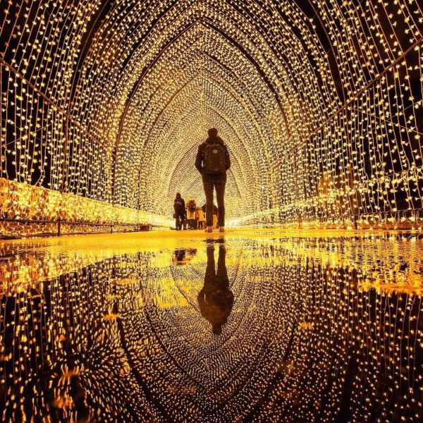 Tunnel of Lights