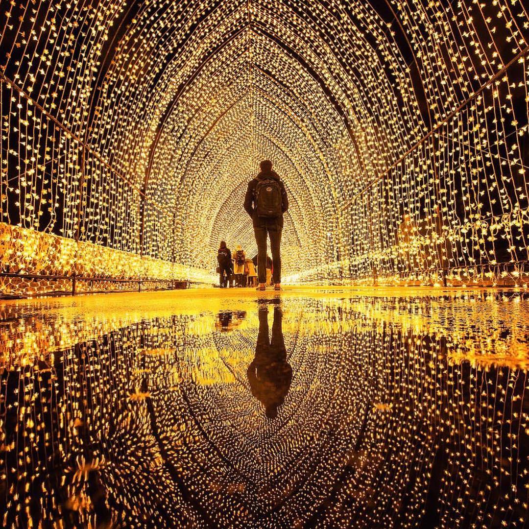 Tunnel of Lights no Japão