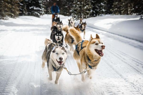 Onde Comer em Aspen