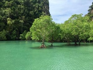 Passeios em Yao Noi, Ilha Ko Hong, Tailândia